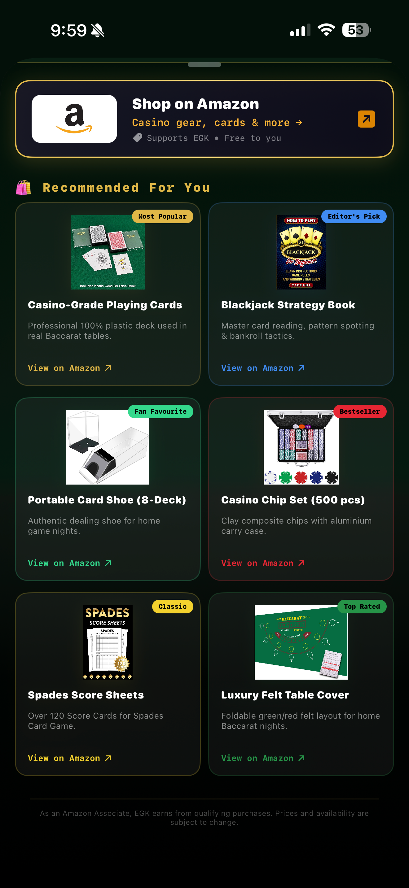 EGK BlackJack screenshot 5
