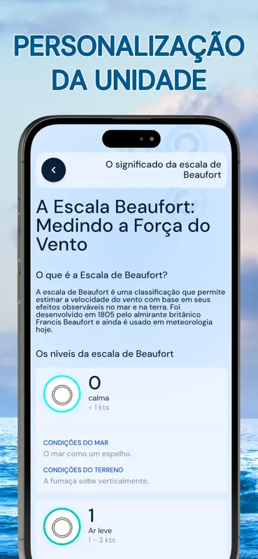 Radar de vento - Anemômetro screenshot 8 of 10