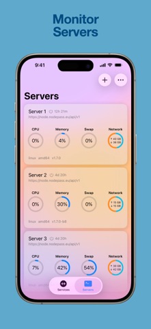 NodePass screenshot