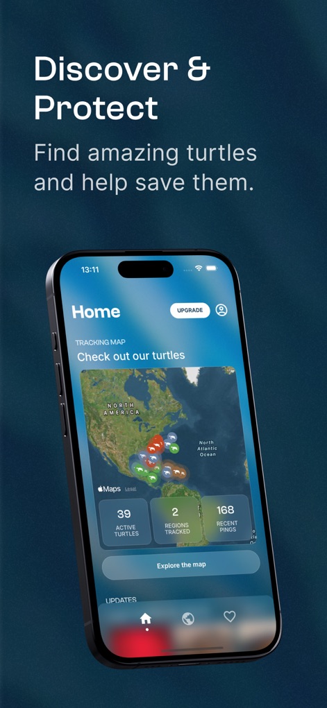 STC Turtle Tracker - App de Educación | MWM