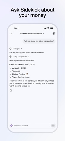 Shopify Balance screenshot