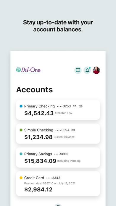 Del-One FCU Screenshot
