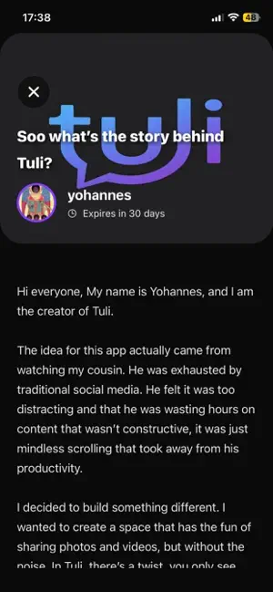 Tulie screenshot 4