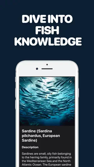 Identify Fish with AI screenshot 2