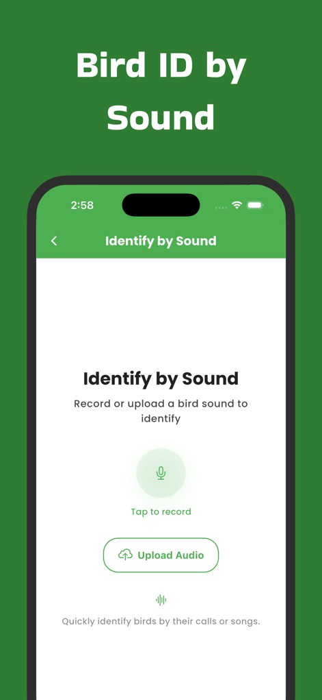 Bird Call Identification App - Reference App | MWM