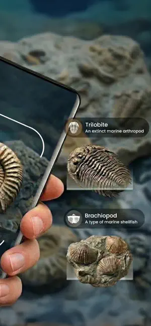 Fossil Identifier: Rock & Bone screenshot 2