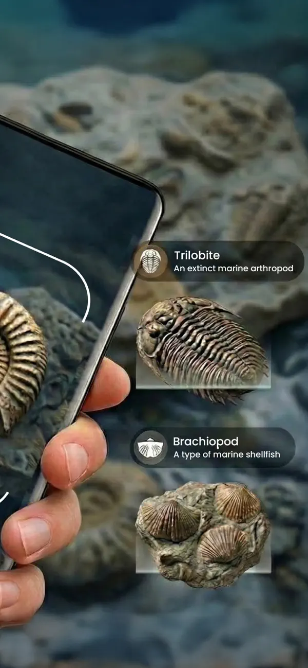 Screenshot #2 pour Fossil Identifier: Rock & Bone
