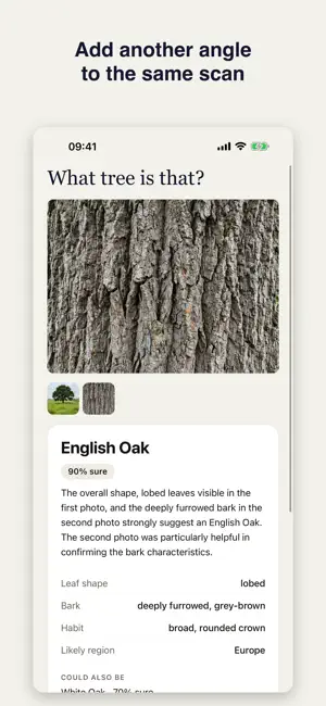 Tree Identifier: Fairly screenshot 3