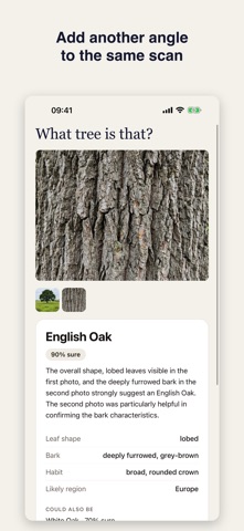 Tree Identifier: Fairly Screenshot 3 of 5