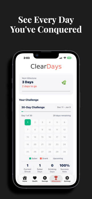 Clear Days : Sobriety Tracker Screenshot 4 of 8