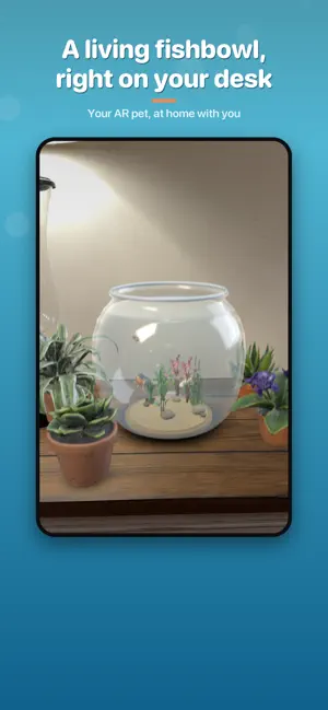 Little Splashy: AR Pet Fish screenshot 1