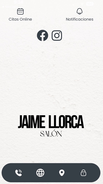 Jaime Llorca Salon