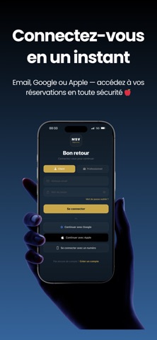 MSV Agency screenshot