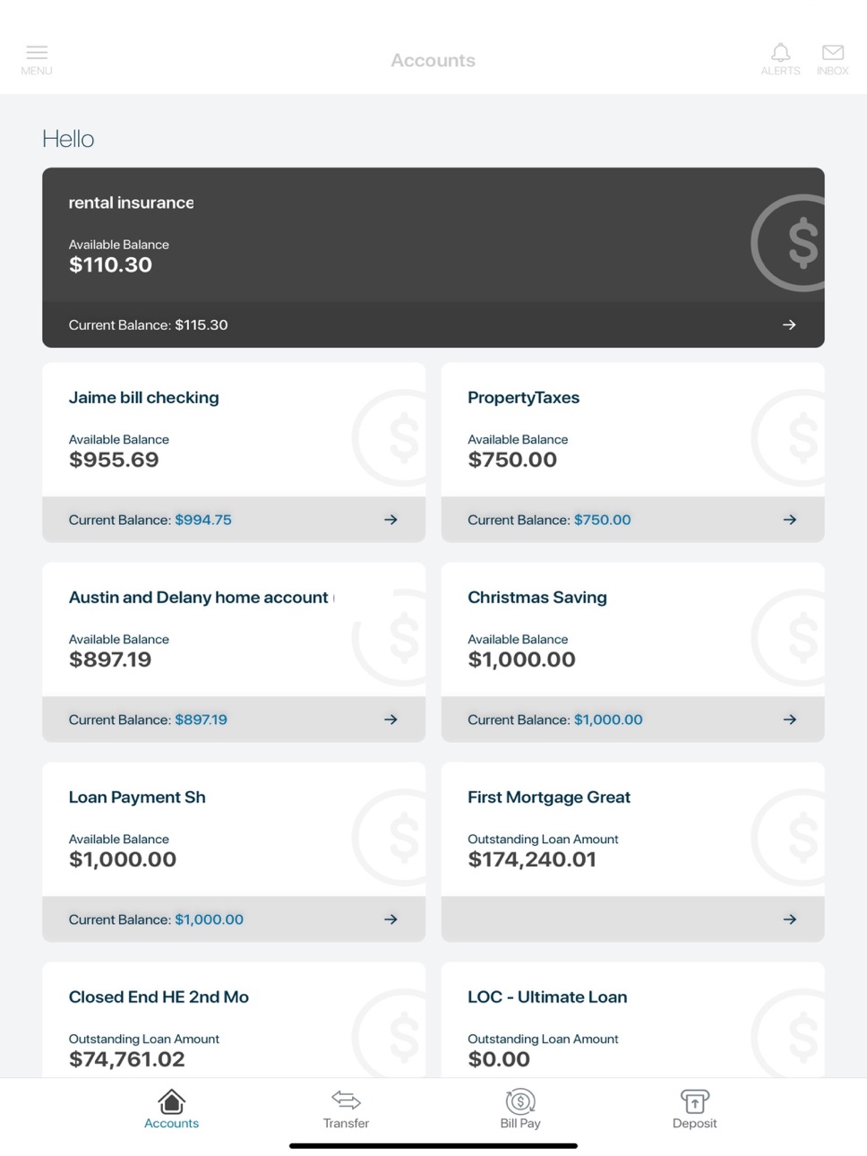 iPad screenshot