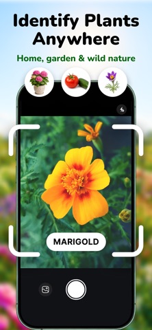 Plant Identifier & Care－Stemio screenshot