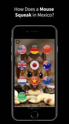 Animal Sounds Translator iPhone image 3
