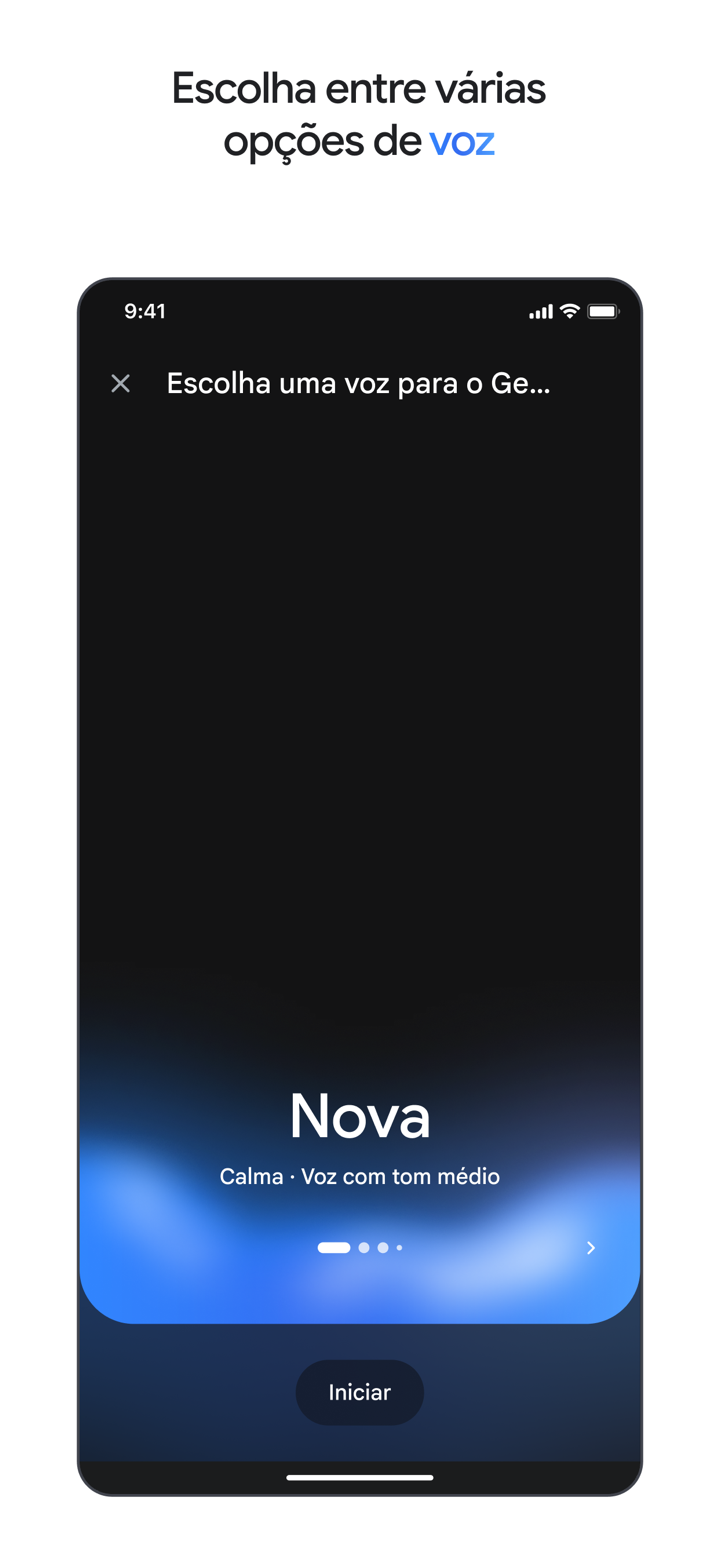 Google Gemini screenshot 9