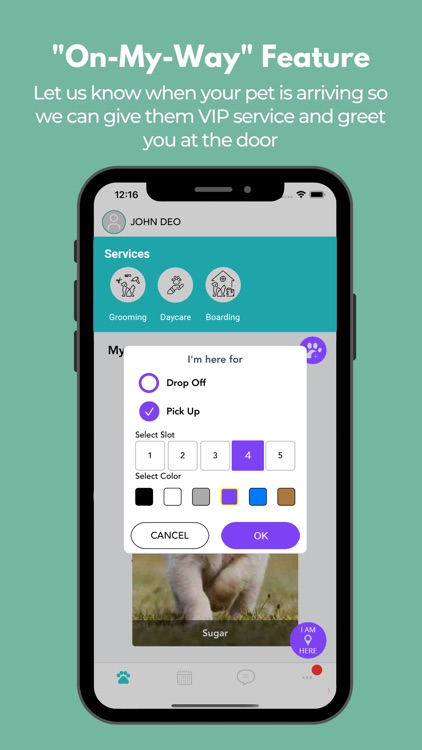 Playful Paws Pet Resort