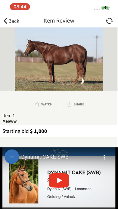 Select Online Horse Sales Screenshot