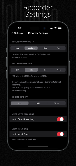 Audio Recorder Pro & Playback Screenshot 10 of 10