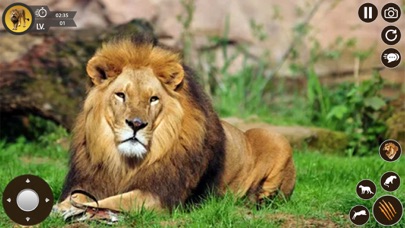 Lion Simulator Animal Games 3D Screenshot