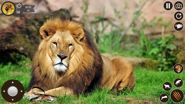 Lion Simulator Animal Games 3D