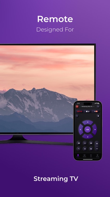 Universal TV Remote Pro