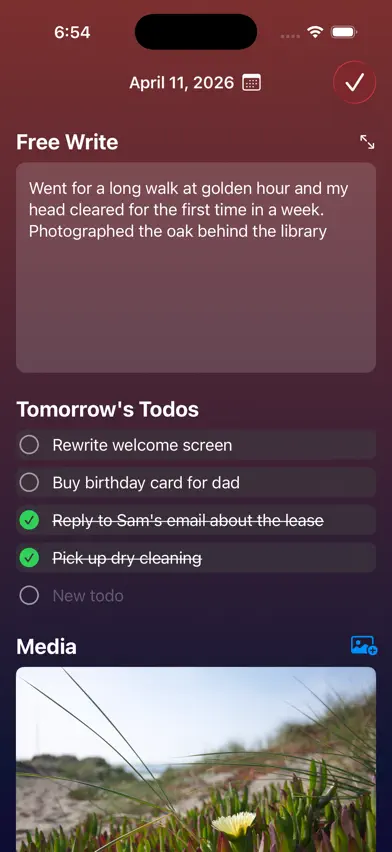 Brain Dump - Nightly Journal screenshot 2