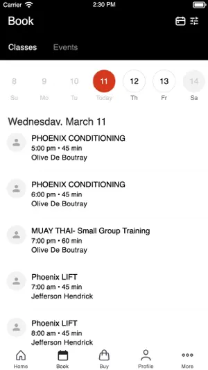 The Phoenix Effect screenshot 2