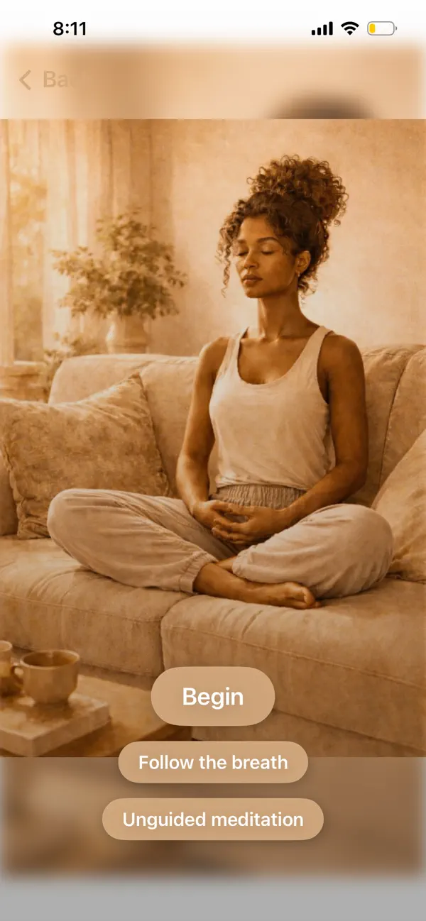 #3. Replace App (iOS) By: Maryam Farhadi