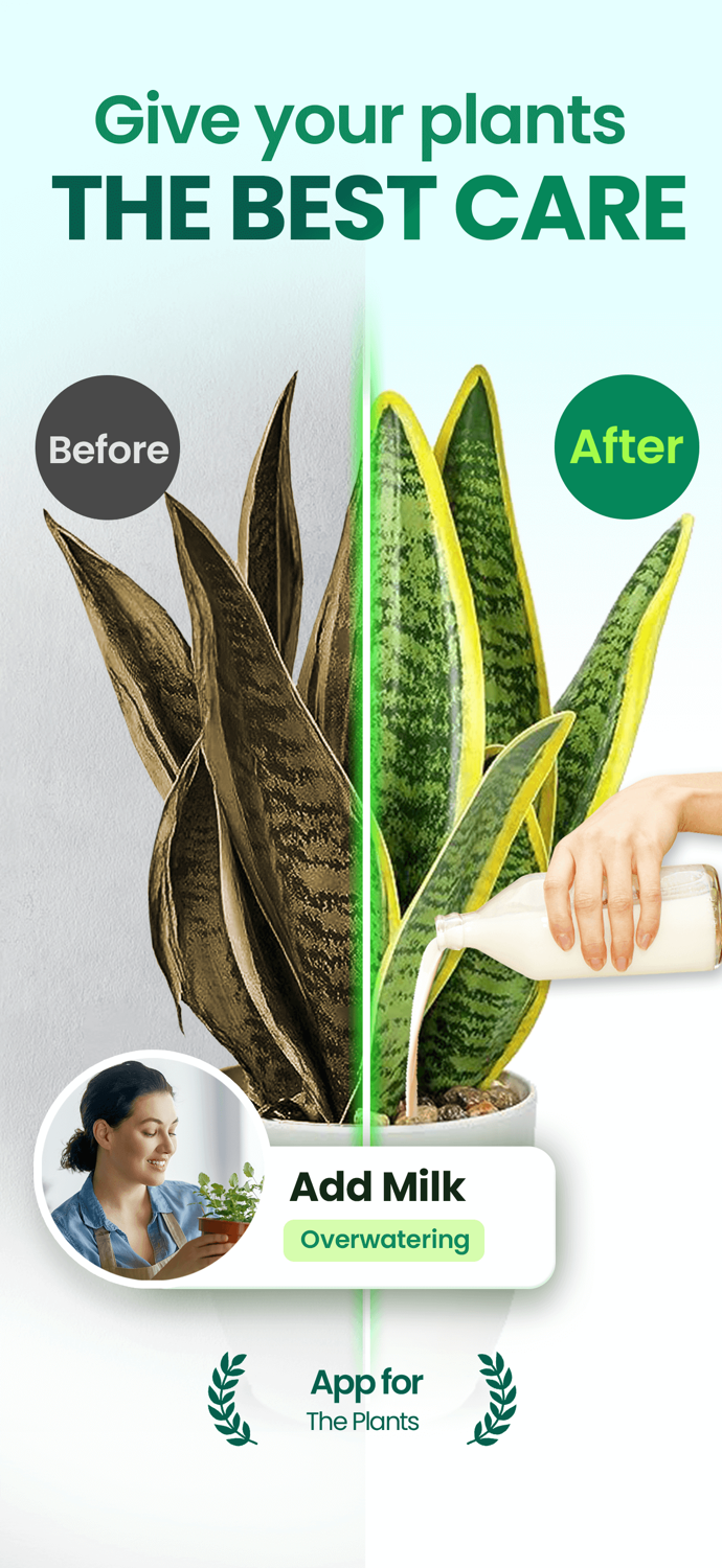 Plant Easy Plants  Garden