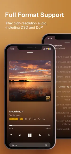 HiFier: HiFi Music Player screenshot 3
