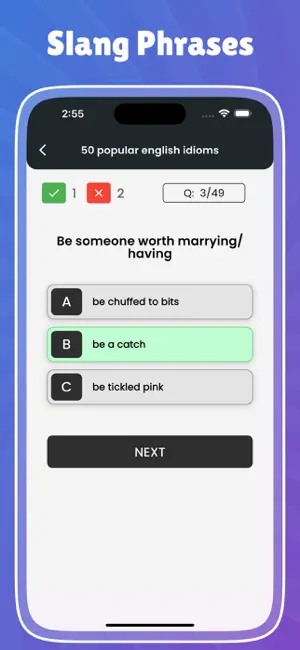 English Idioms & Slang Phrases screenshot 2