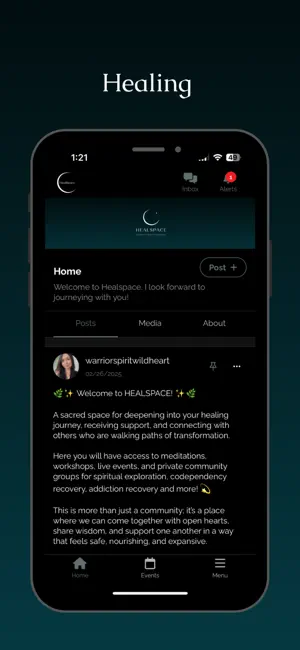 HealSpace screenshot 2
