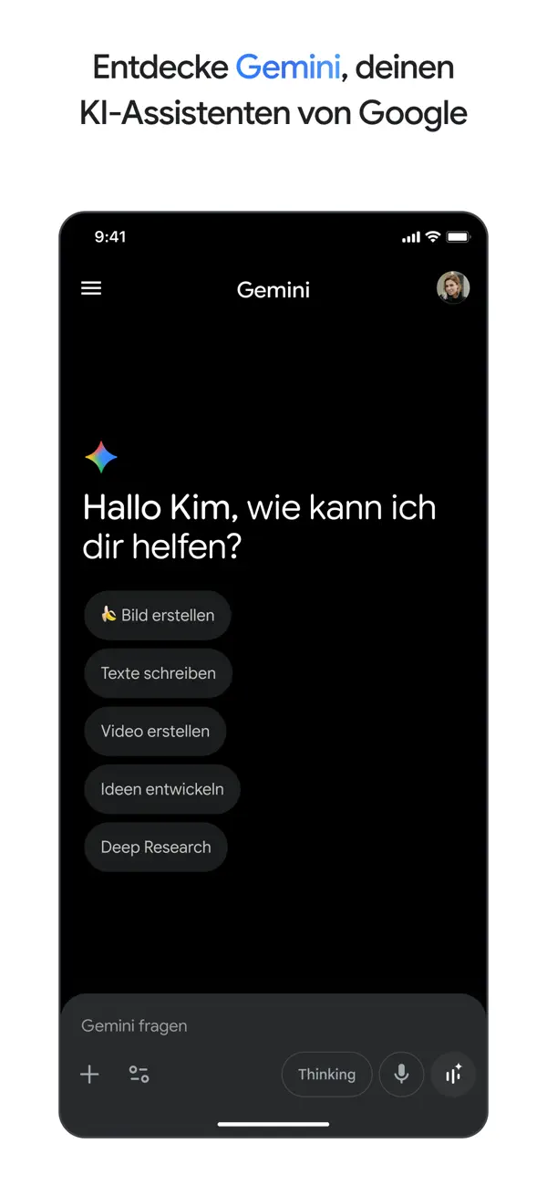 Google Gemini Screenshot 3