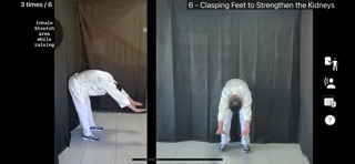 QiGong Daily Screenshot 8 of 10