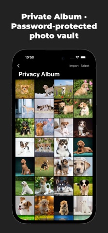 Eagle Browser: AdGuard Screenshot 5 of 6