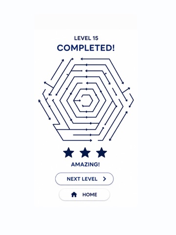 Arrow Flow Puzzle Game iPad screenshot