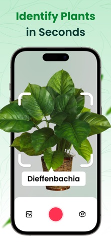 Plants & Seeds Identifier Screenshot 2 of 8