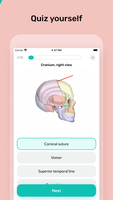 Easy Anatomy 3Dのおすすめ画像4