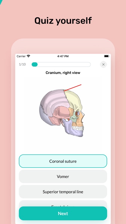 Easy Anatomy 3D screenshot-3