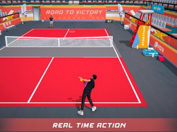 PickleBall 3d iPad screenshot