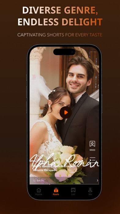 ZipStream Screenshot