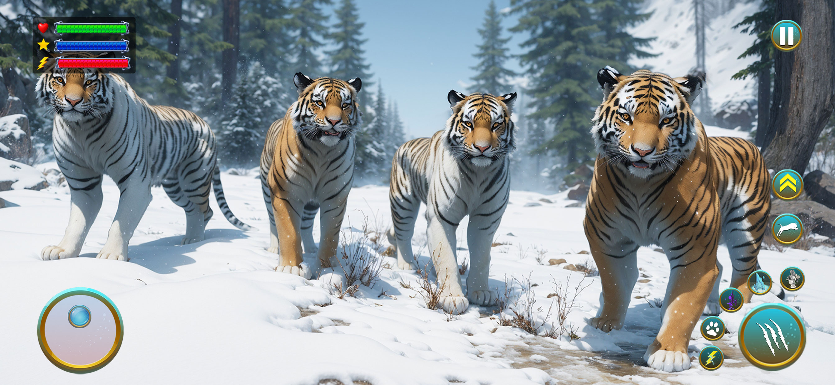 Wild Tiger Animal Survival