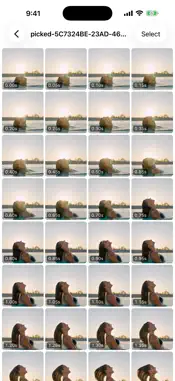 FrameShot: Video to Frames screenshot 1