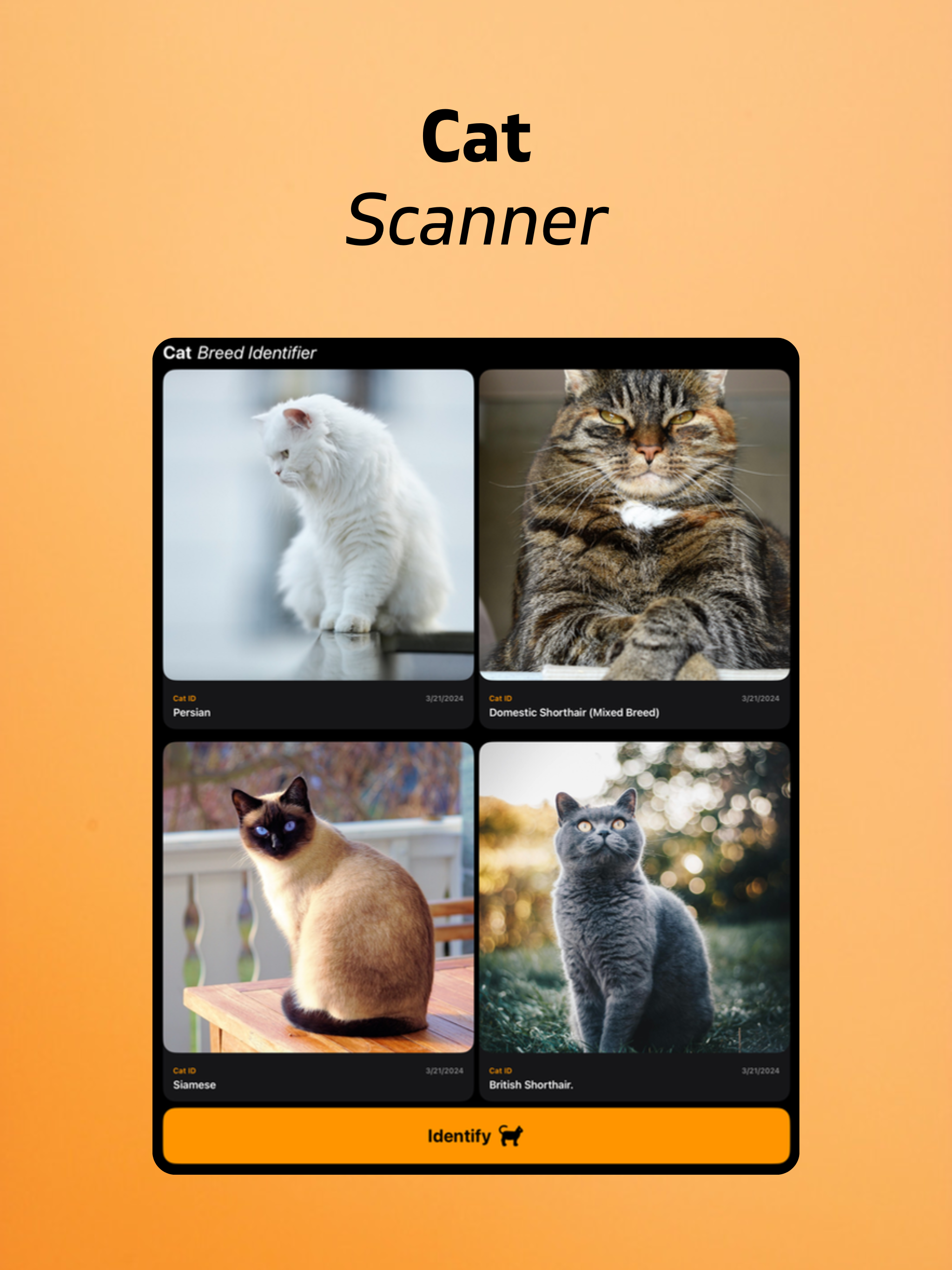 https://is1-ssl.mzstatic.com/image/thumb/PurpleSource211/v4/9a/cb/88/9acb889f-6d01-ecd0-63fb-e8dca5f88b88/shot_02.png/2048x2732.png