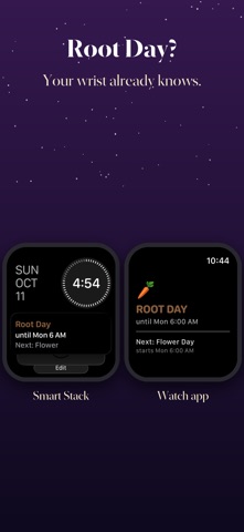 Fruit Day screenshot 5