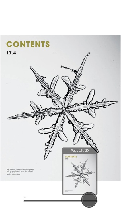 The Ski Journal screenshot-3