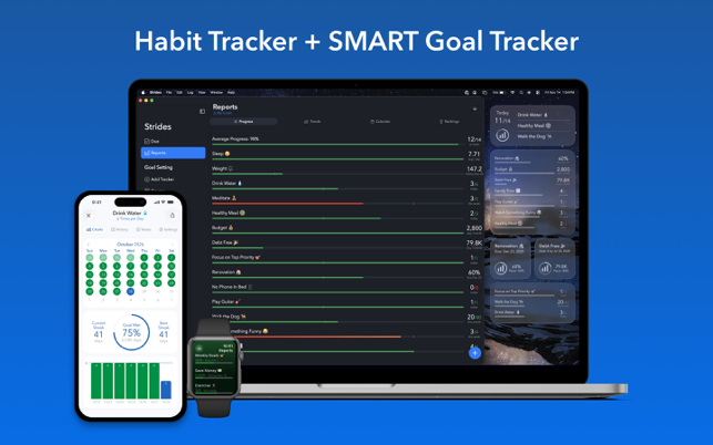 Strides: Habit Tracker + Goals Screenshot