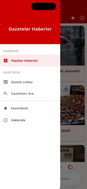 Gazeteler Son Dakika Haberler screenshot 2